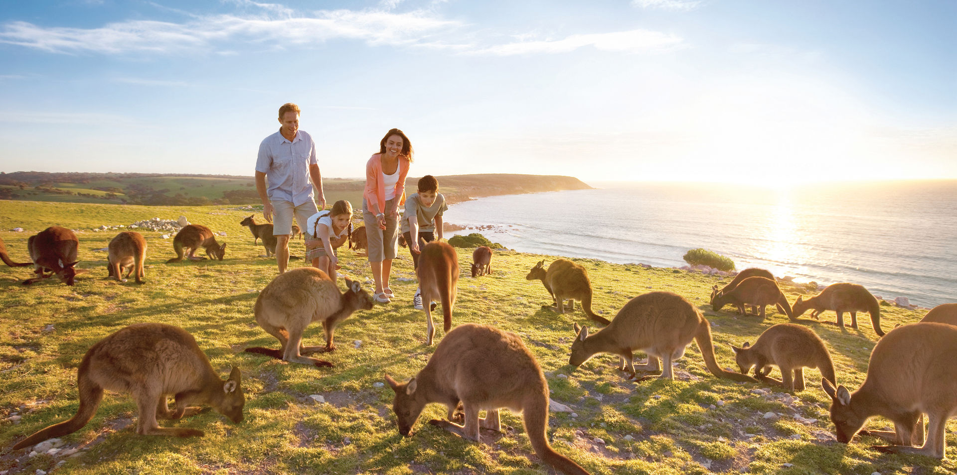 City and Wildlife Discovery | Australia, Australia & NZ | Chris Watson ...