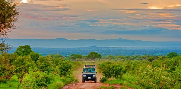 Tanzania Luxury Safari